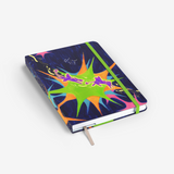 The Starburst Playground Cover