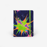 The Starburst Playground Cover